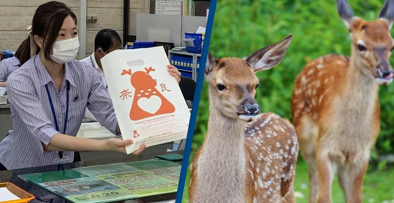 Japan Uses Deer-Friendly Bags To Stop Animals Eating Plastic