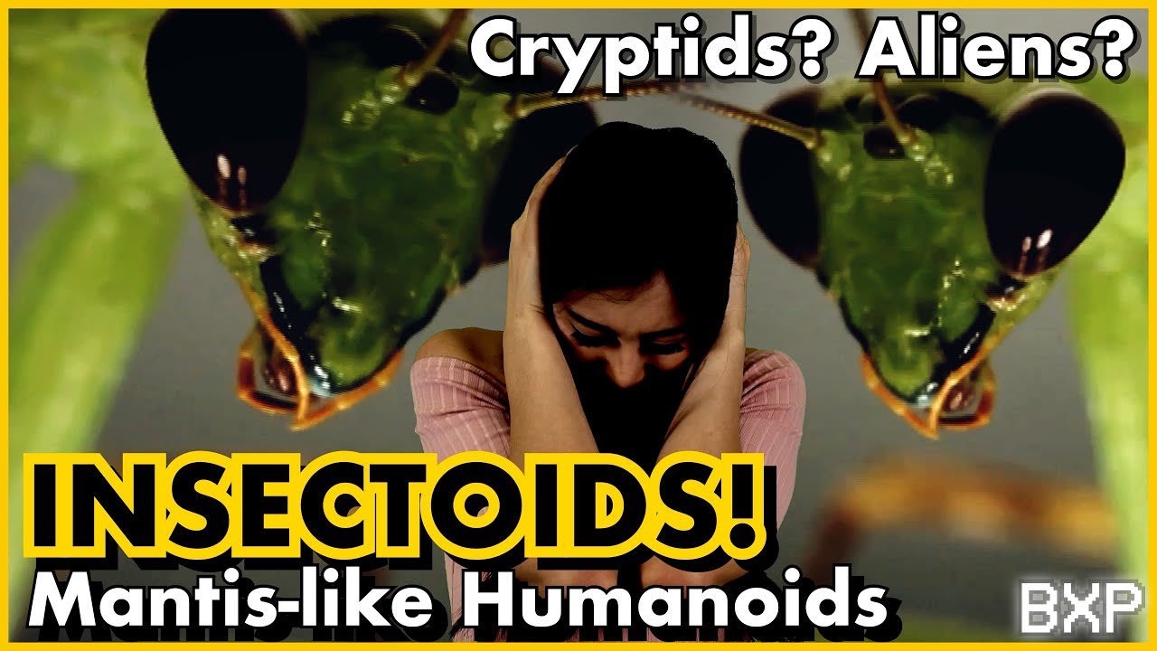 Alien Mantis Humanoid Encounters! Investigated! Chicago, Greenville, Philly, Sedona & more. BXP A025