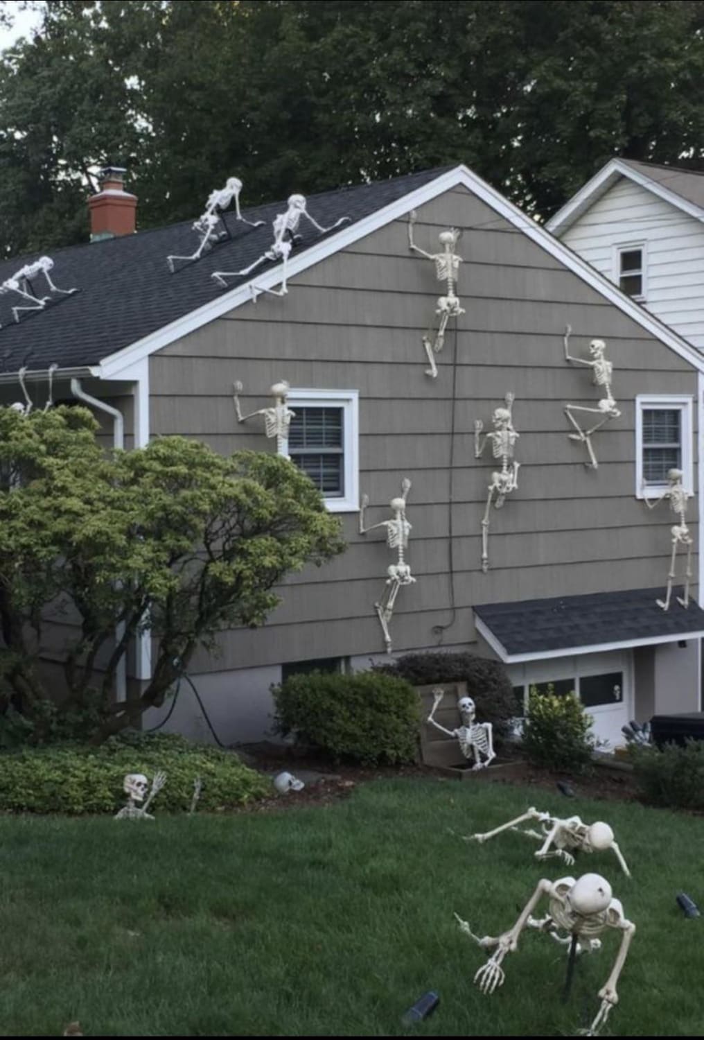 This houses Halloween decorations.
