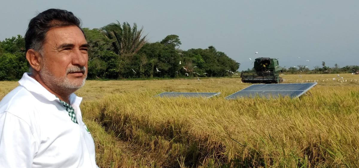 When It Comes To Tech, These Rice Farmers Are Outstanding In Their Field