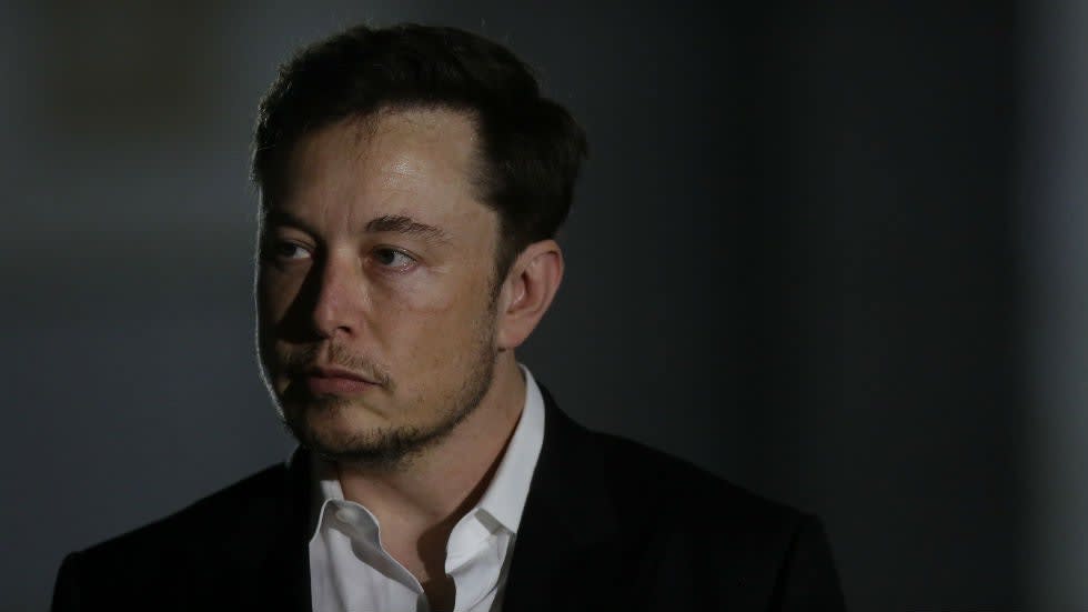 Elon Musk: 'I support Yang'
