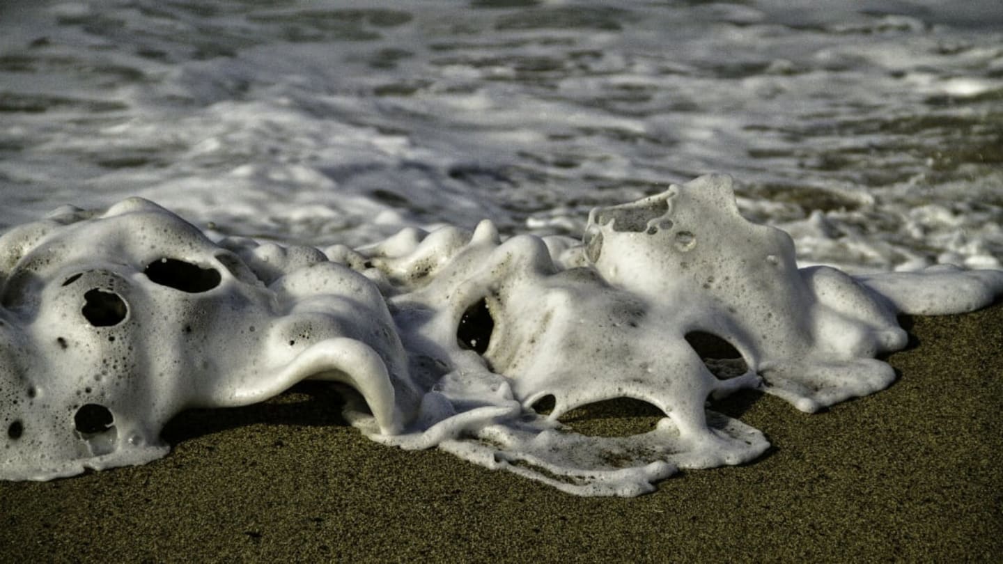 8 Bizarre Creatures That Have Washed Ashore