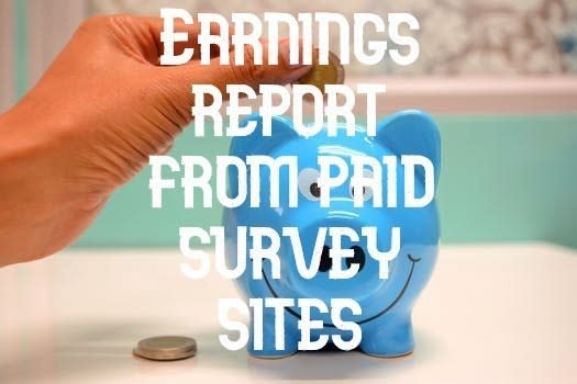 Earnings report from paid survey sites