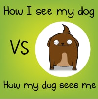 How I see my dog VS how my dog sees me