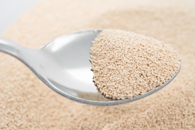 Yeast Extracts and Beta-Glucan Market Witnessing Disruption Due to Health Concern and Shift Towards Processed Food and Veganism