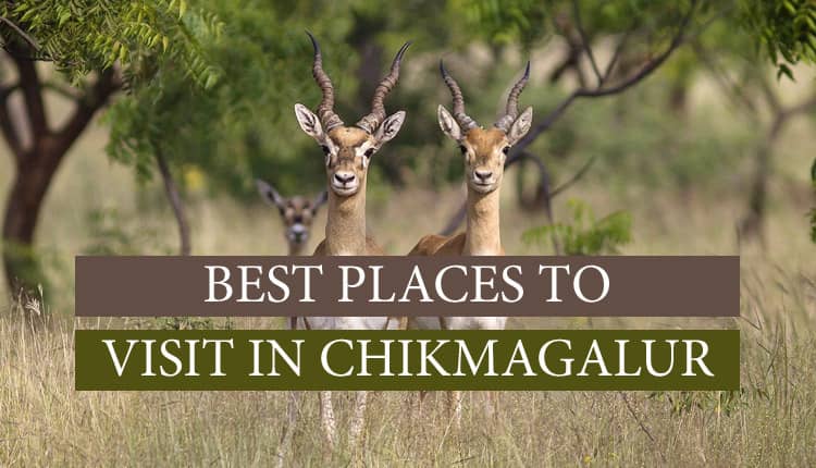 11 Best Places to Visit in Chikmagalur (2020 Guide)
