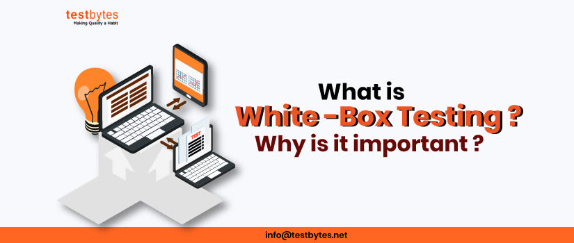 What is White Box Testing? Techniques, Examples and Types