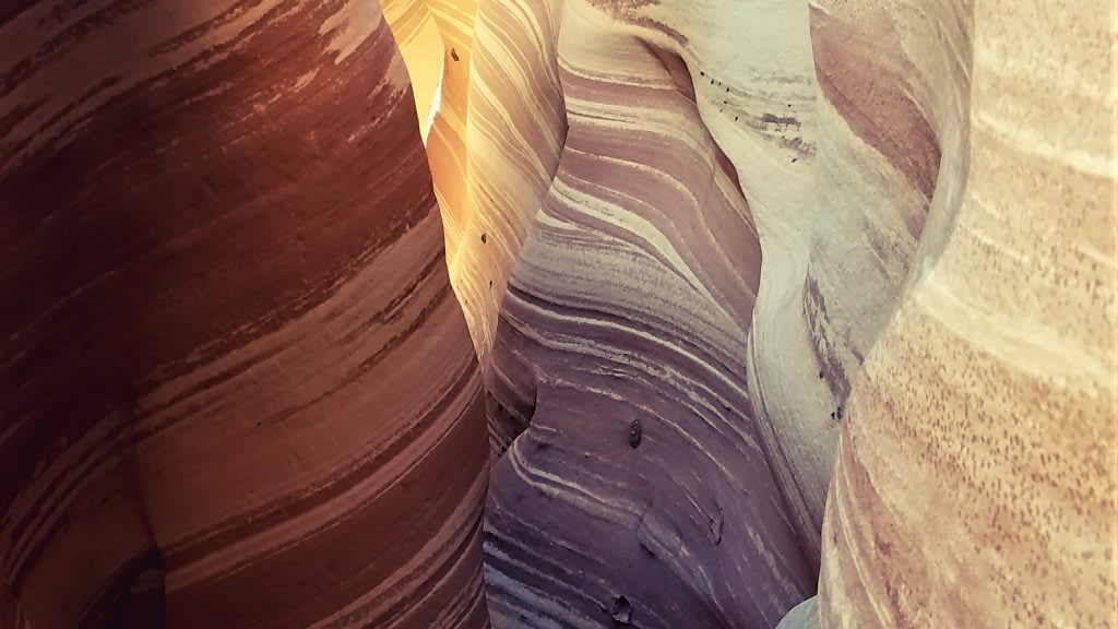 The Desert's Stripes in Utah: Our Favorite Slot Canyons - Trail Advocacy