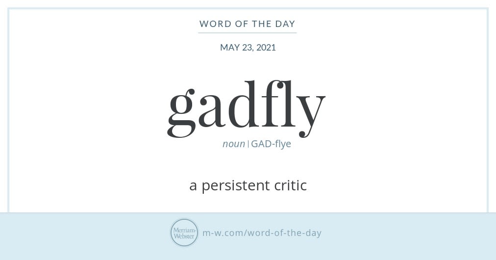 Word of the Day: Gadfly