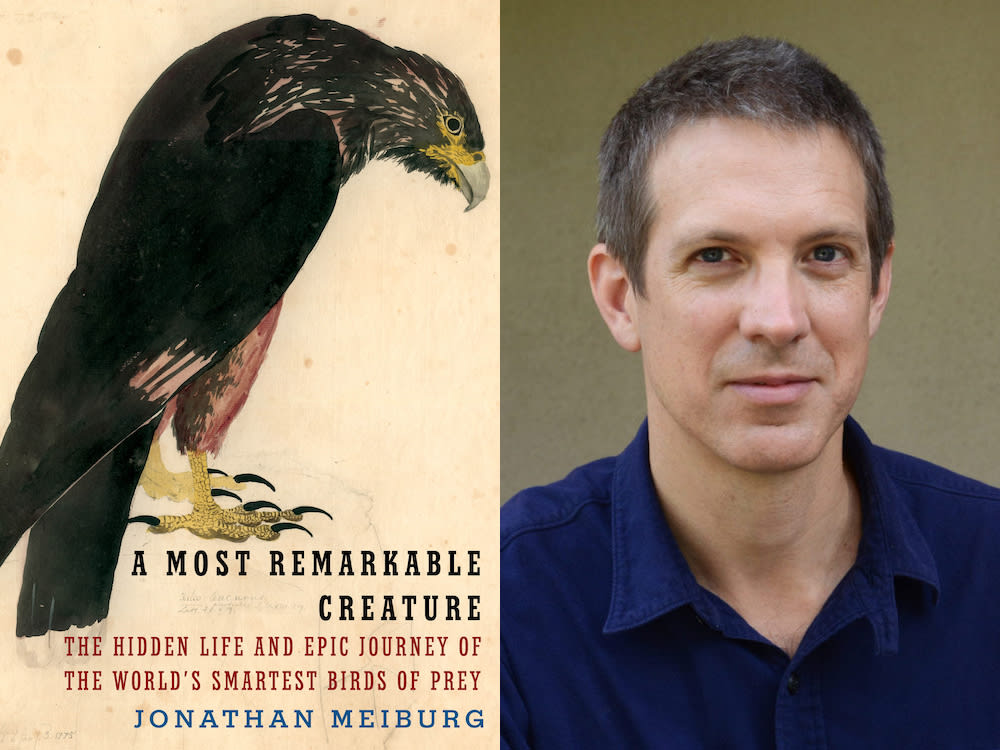At Home among the Birds: An Interview with Jonathan Meiburg