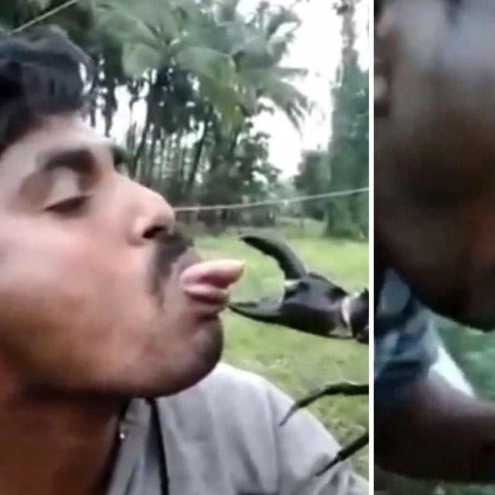 Idiot almost gets tongue clawed off trying to impress his friends