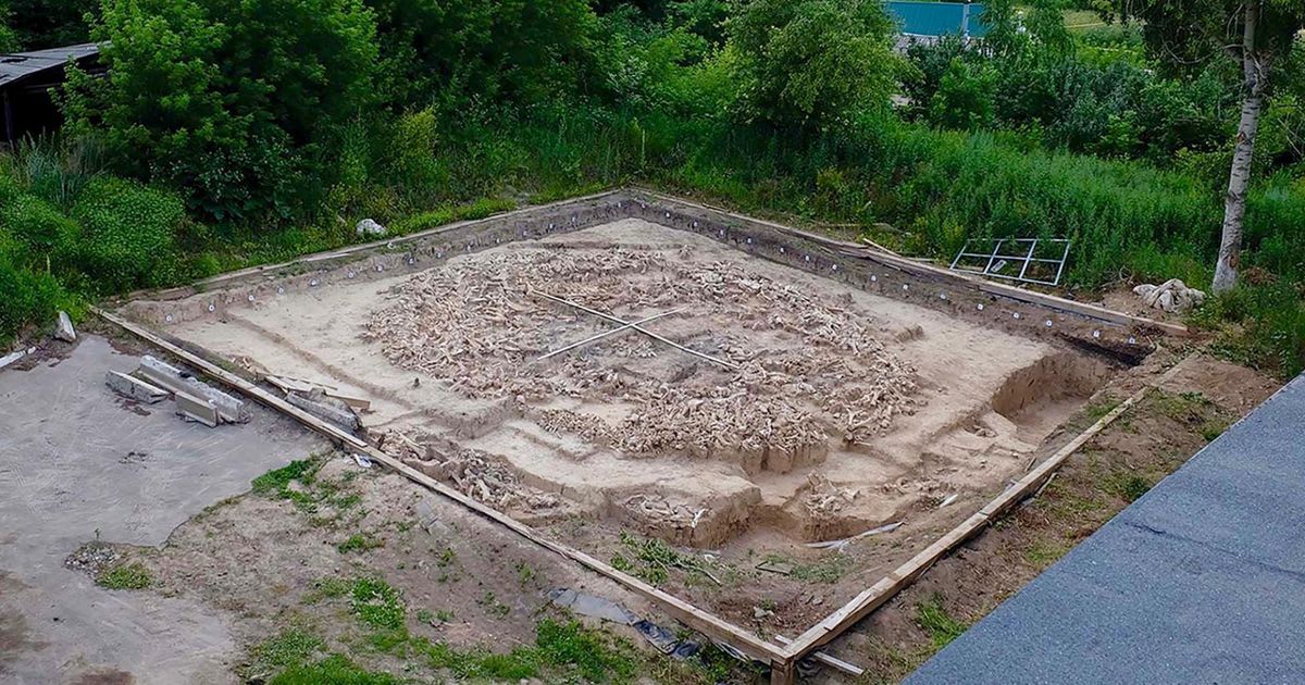 Mysterious, circular structure found to be made from mammoth bones