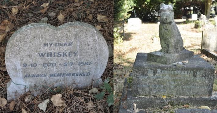 Pet Cemeteries Reveal Evolution of Humans' Relationships With Furry Friends