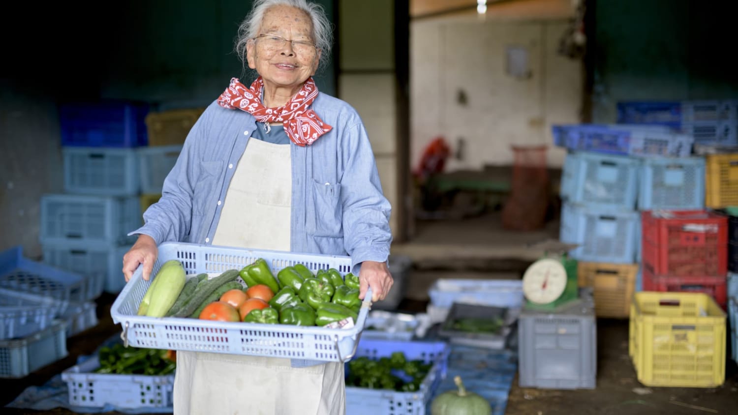 This Japanese 80% diet rule can help you live a longer life, says longevity researcher