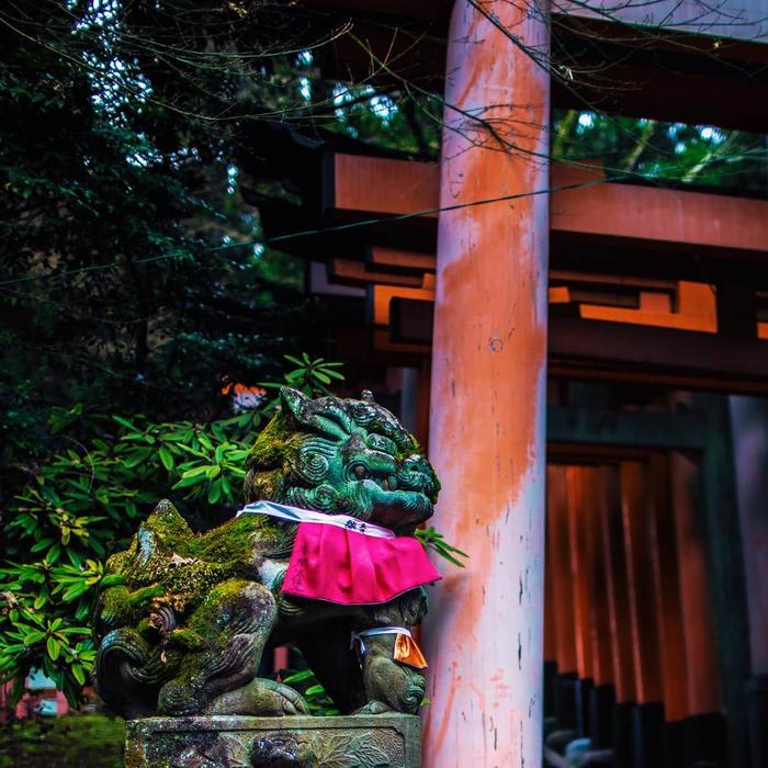 Kyoto Japan: Comprehensive Guide to Fushimi Inari Shrine