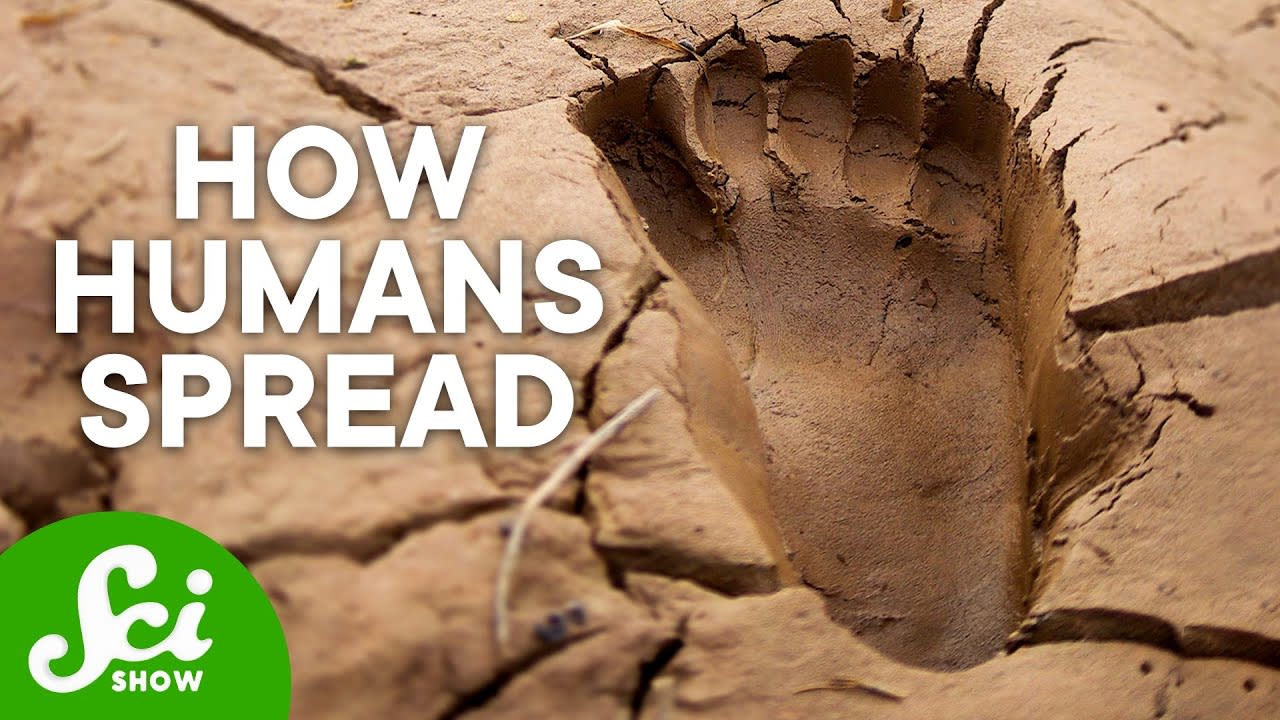 These Ancient Footprints Changed History as We Know It