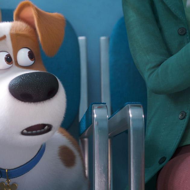 'The Secret Life of Pets 2': A trip to the vet becomes traumatic in the trailer for the sequel