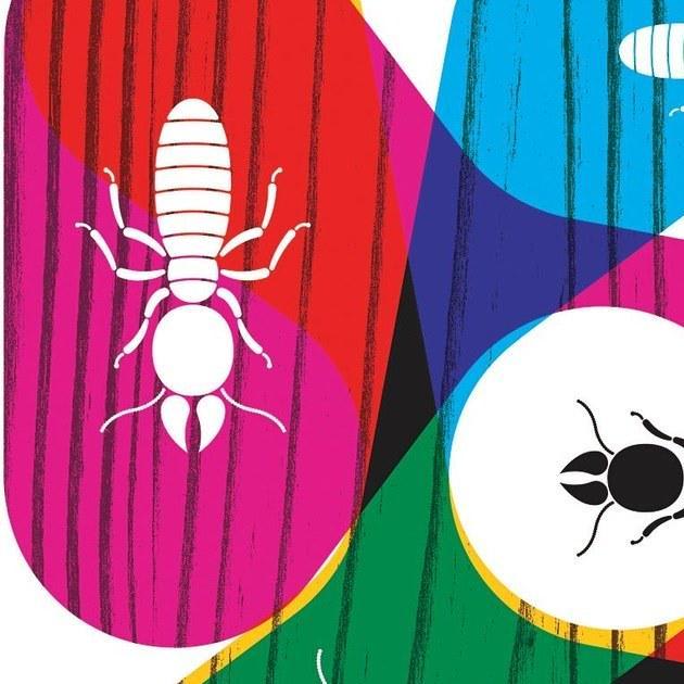 What Termites Can Teach Us