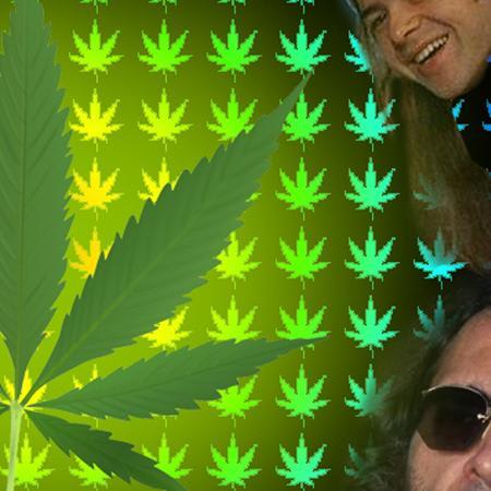 The Stoner Canon: Essential Weed Movies, Books, Music, and TV Shows