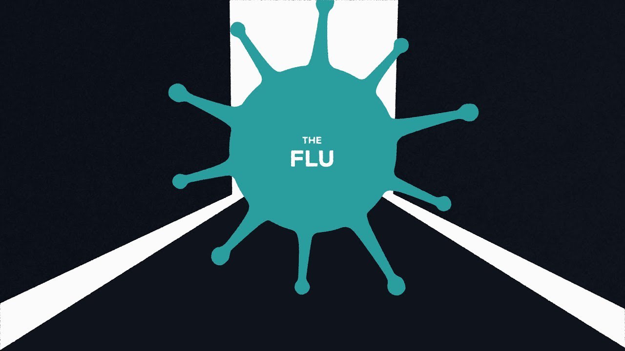 Explained: The Flu and How We Can Prevent Another Pandemic