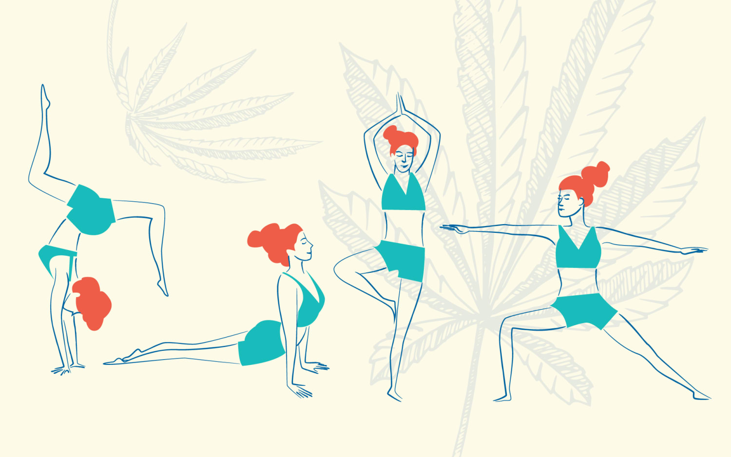 Finding perfect balance: How cannabis affects homeostasis