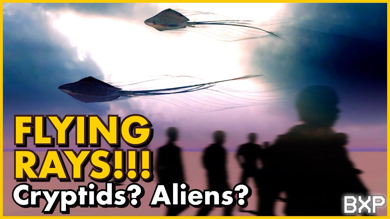 Flying Manta Shaped Rays?! Cryptids? Alien? Organic? Hybrid? Possible drones? 5 reports! | BXP A017