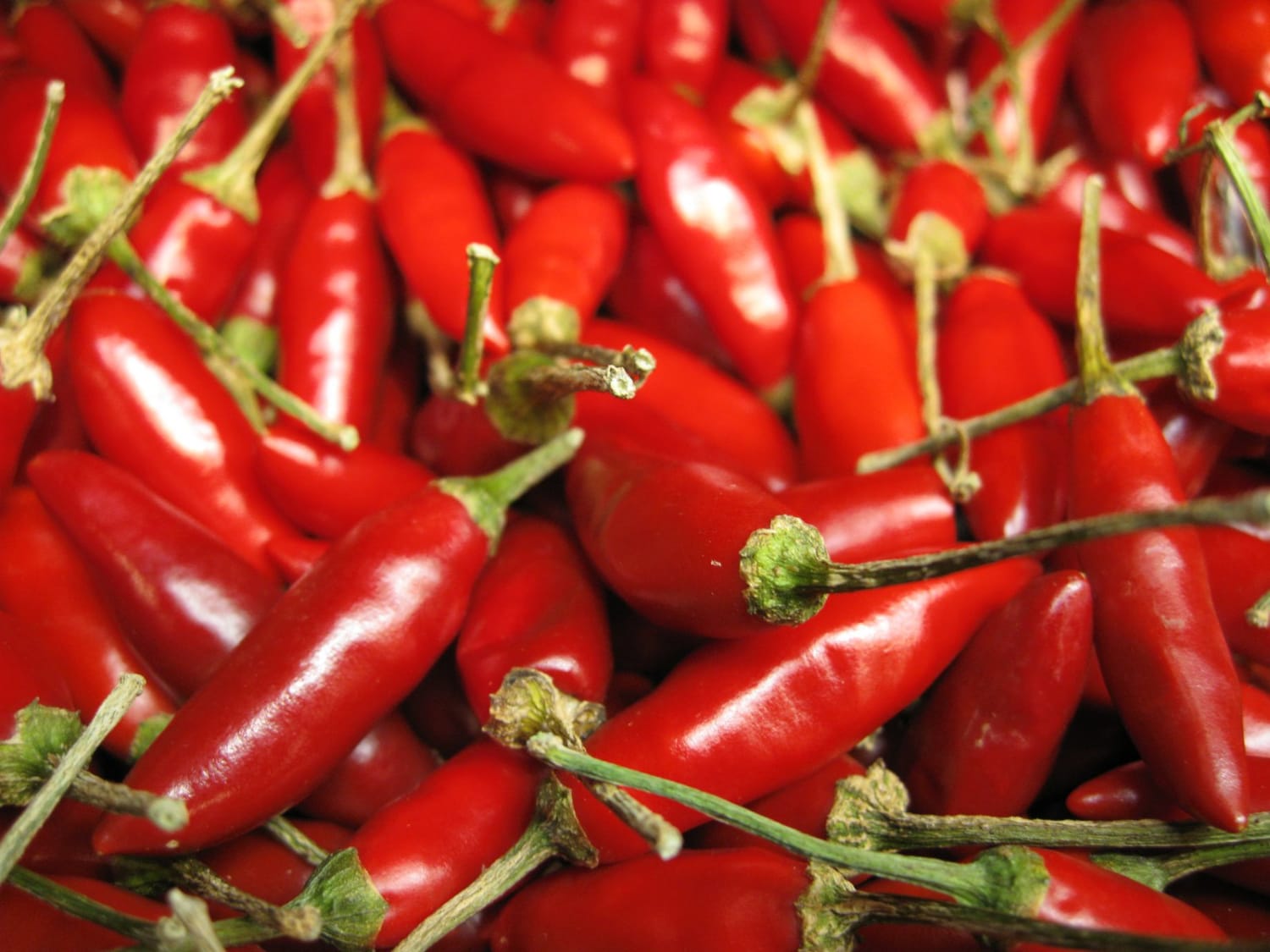 People in Mexico Were Using Chili Peppers to Make Spicy Drinks 2400 Years Ago