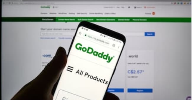 15,000 subdomains remove by Godaddy for fake sales site