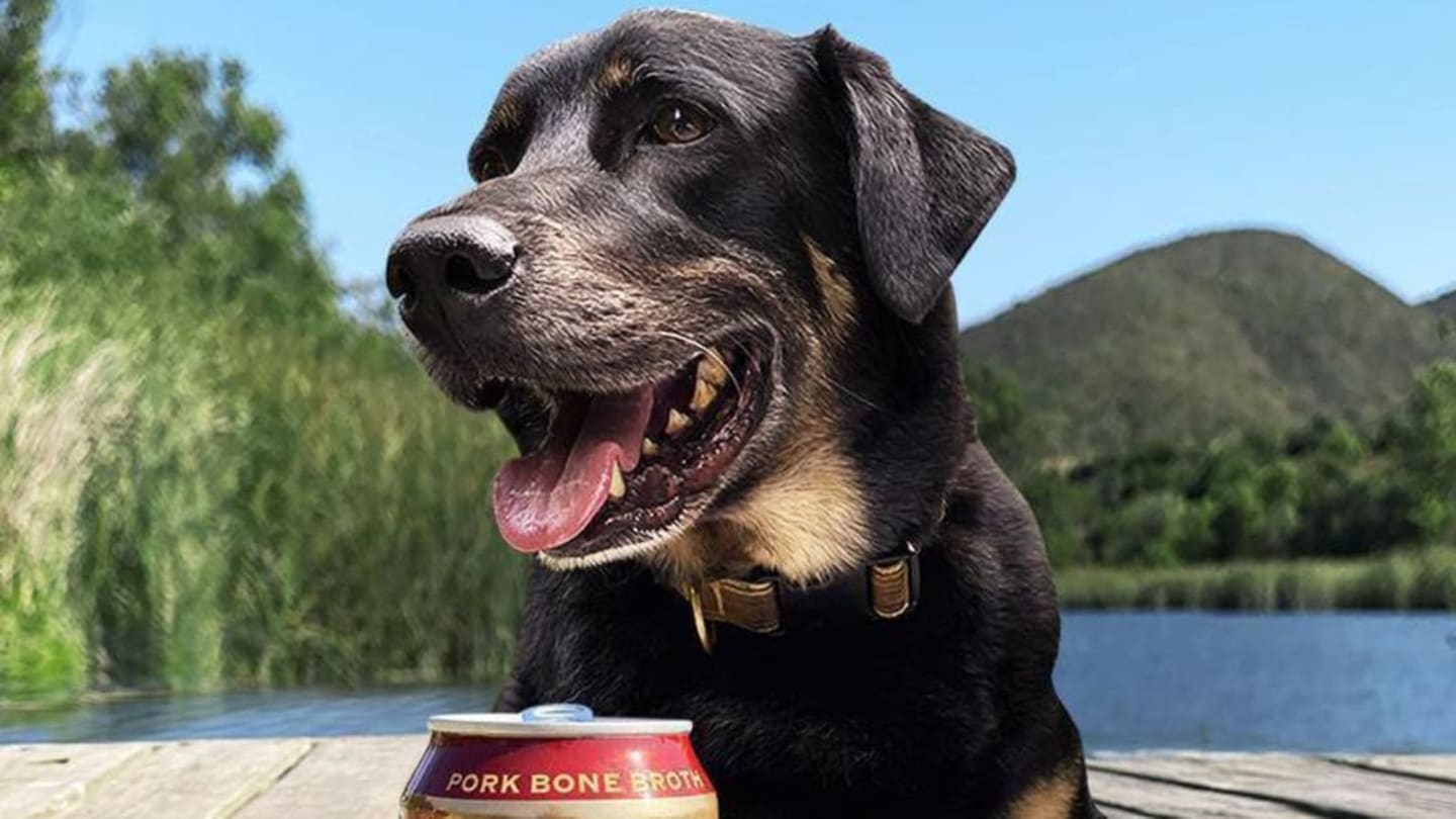 Busch Is Brewing Up a Nonalcoholic Bone Broth "Beer" for Dogs