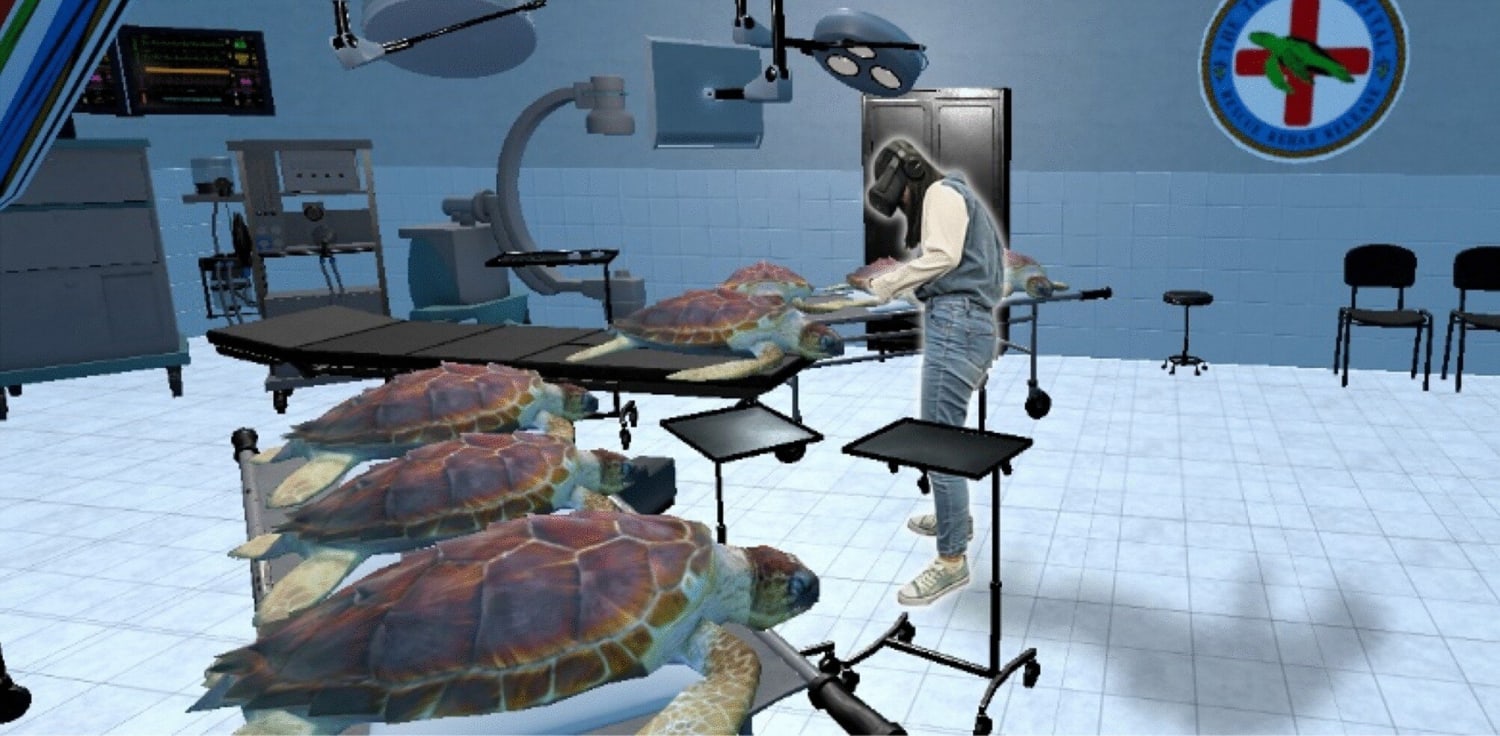 Virtual reality gives humans a turtle's-eye view of wildlife