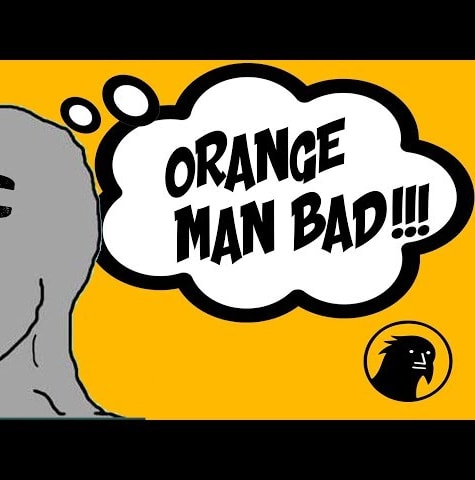 WHY the NPC Meme CRASHED TWITTER #OrangeManBad