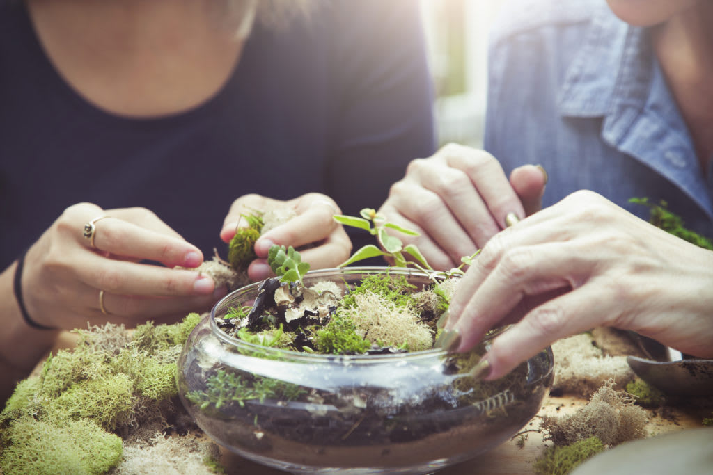 These Easy DIY Terrariums Are Mini-Biodomes For Your Home