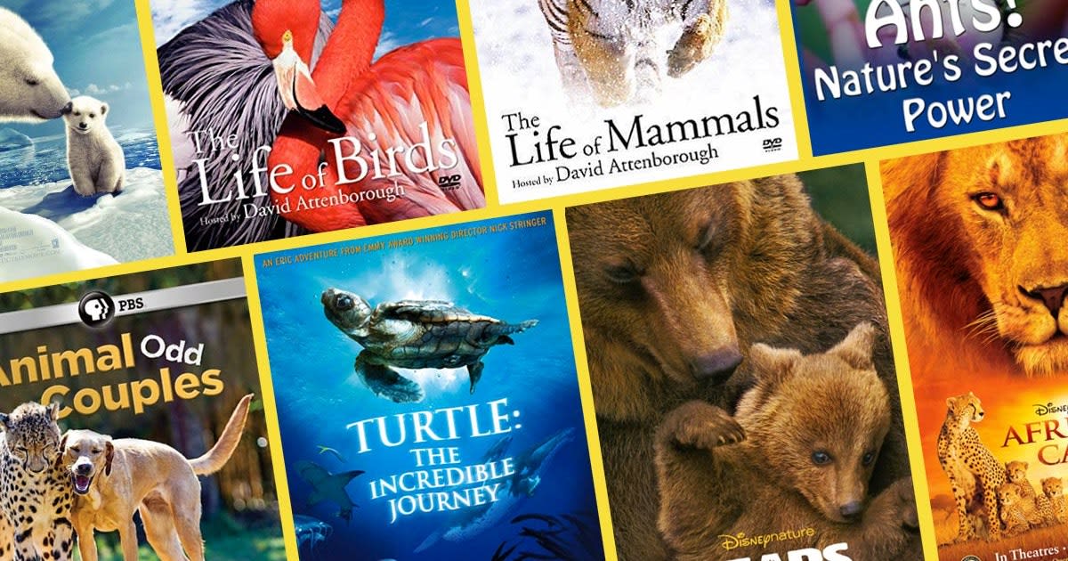Stream These 13 Nature Documentaries For Kids Now