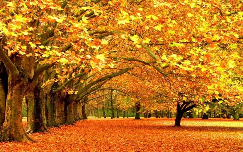 The ultimate secret facts about Autumnal Equinox 2020 you never knew