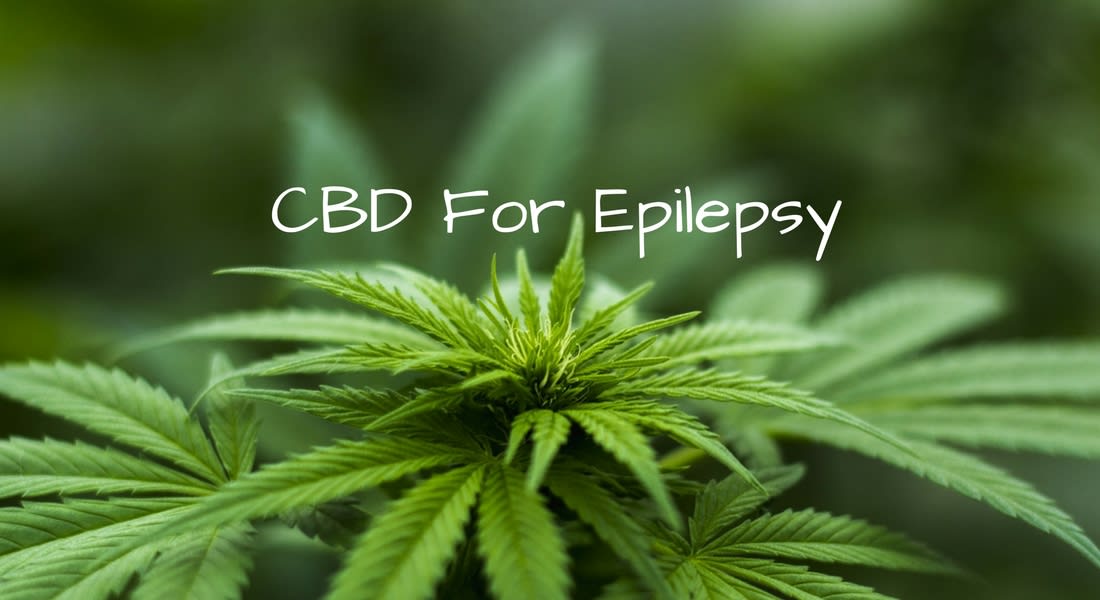 https://livecbdhealthy.com/cbd-for-epilepsy