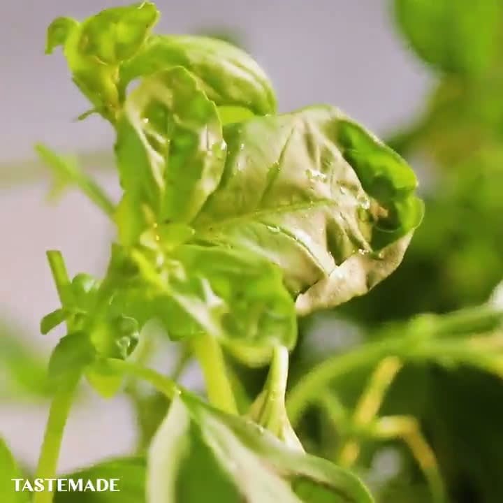 You can grow your own fruits & vegetables from leftover scraps. 🌱