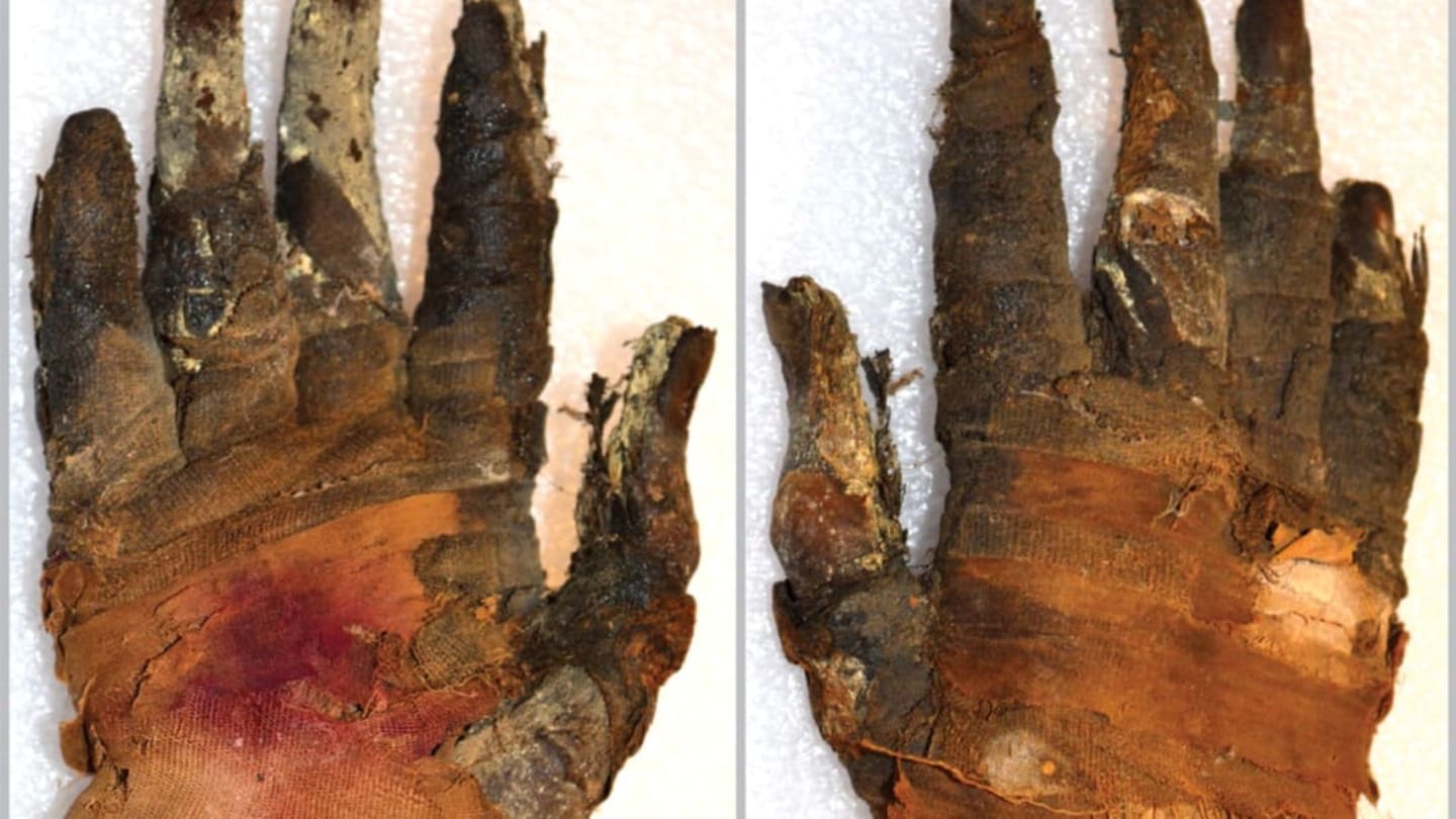 Advanced CT Scans Reveal Blood Vessels and Skin Layers in a Mummy's Hand