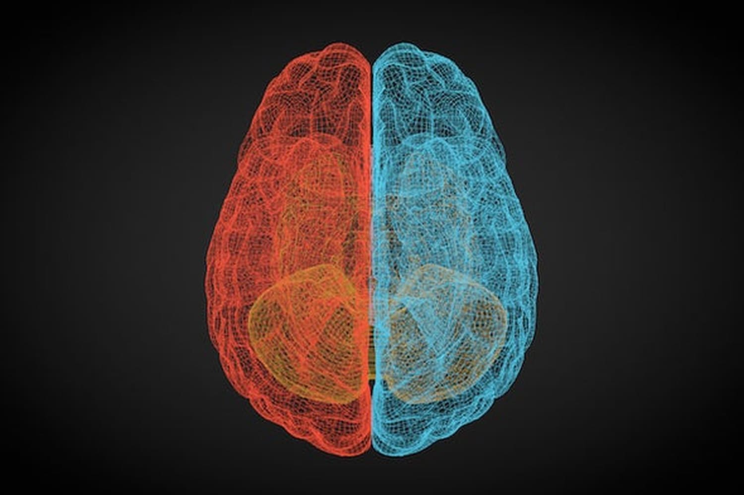 Today’s Biggest Threat: The Polarized Mind - Scientific American - Pocket