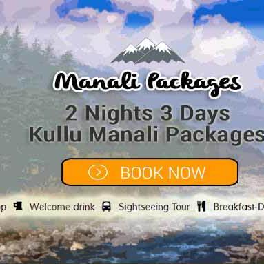 Manali 2 Nights 3 Days Tour Package from Delhi