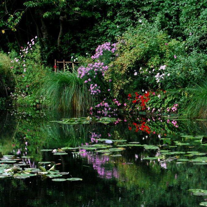 European flower tour to visit Monet's Giverny in France and London's Chelsea Flower Show - Los Angeles Times