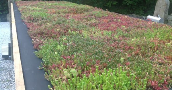 Do Green Roofs Improve Air Quality?