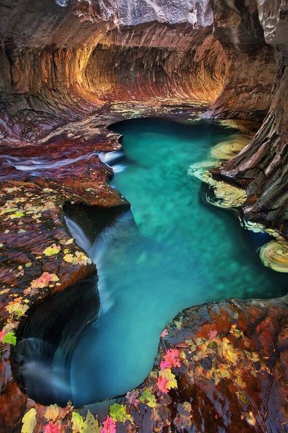 Latest Travel Answers for Zion National Park, Utah | Trippy | Places to travel, Places to visit, Vacation spots
