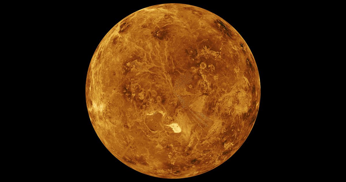 'Potentially the best' hint of alien life yet spotted above Venus