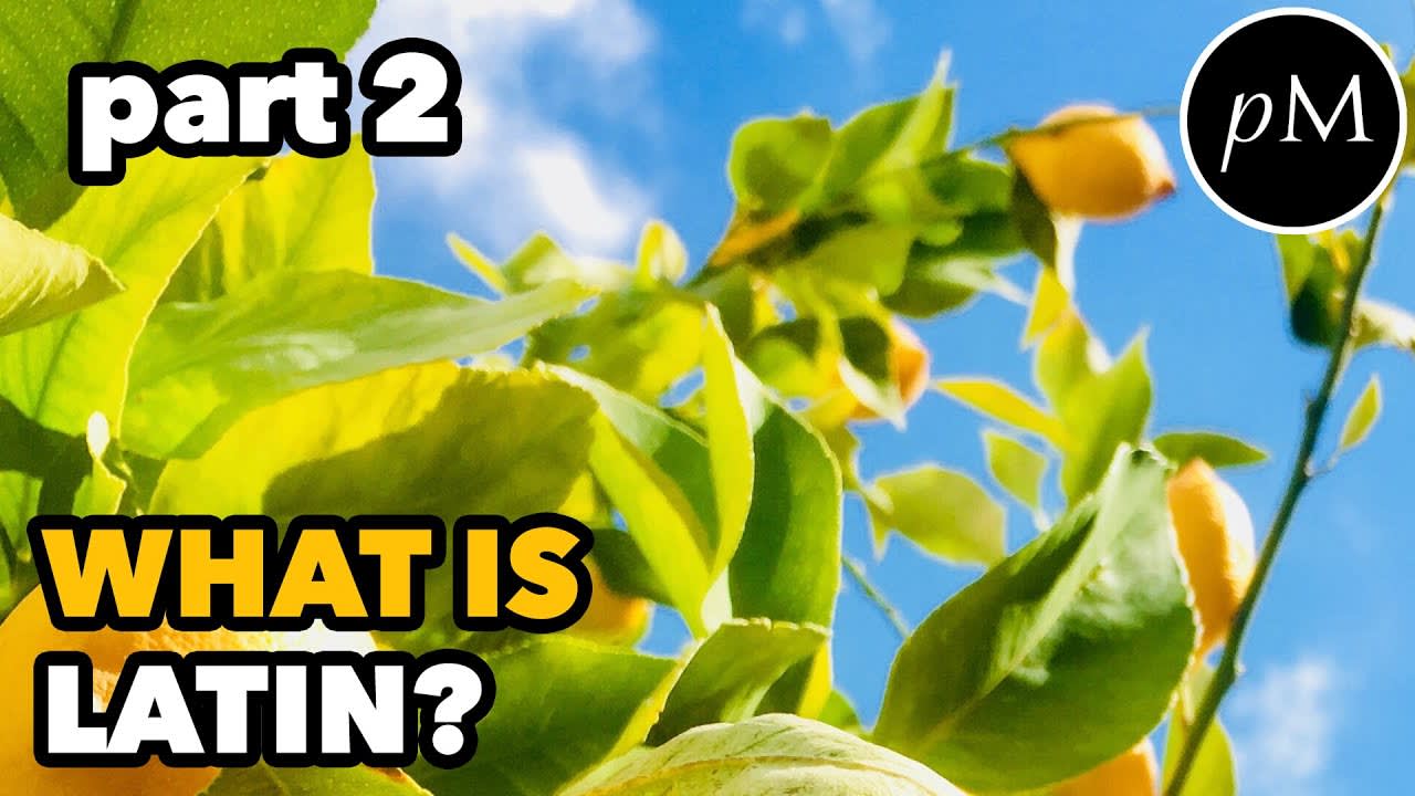 What is Latin? CONTINUED New Latin Vocabulary, Word Choice, Synonyms