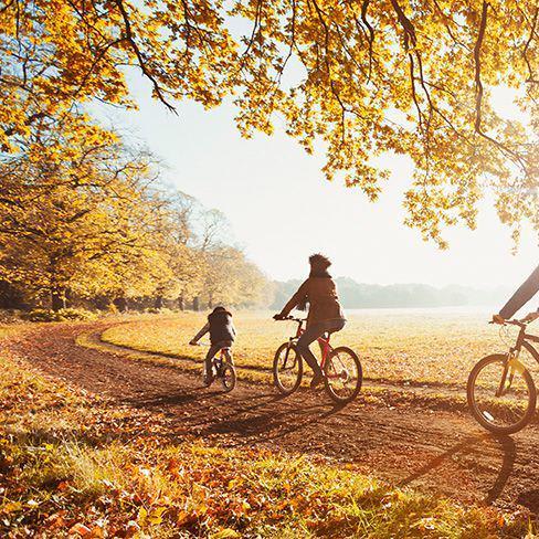 30+ Fall Activities Every Family Should Do This Season
