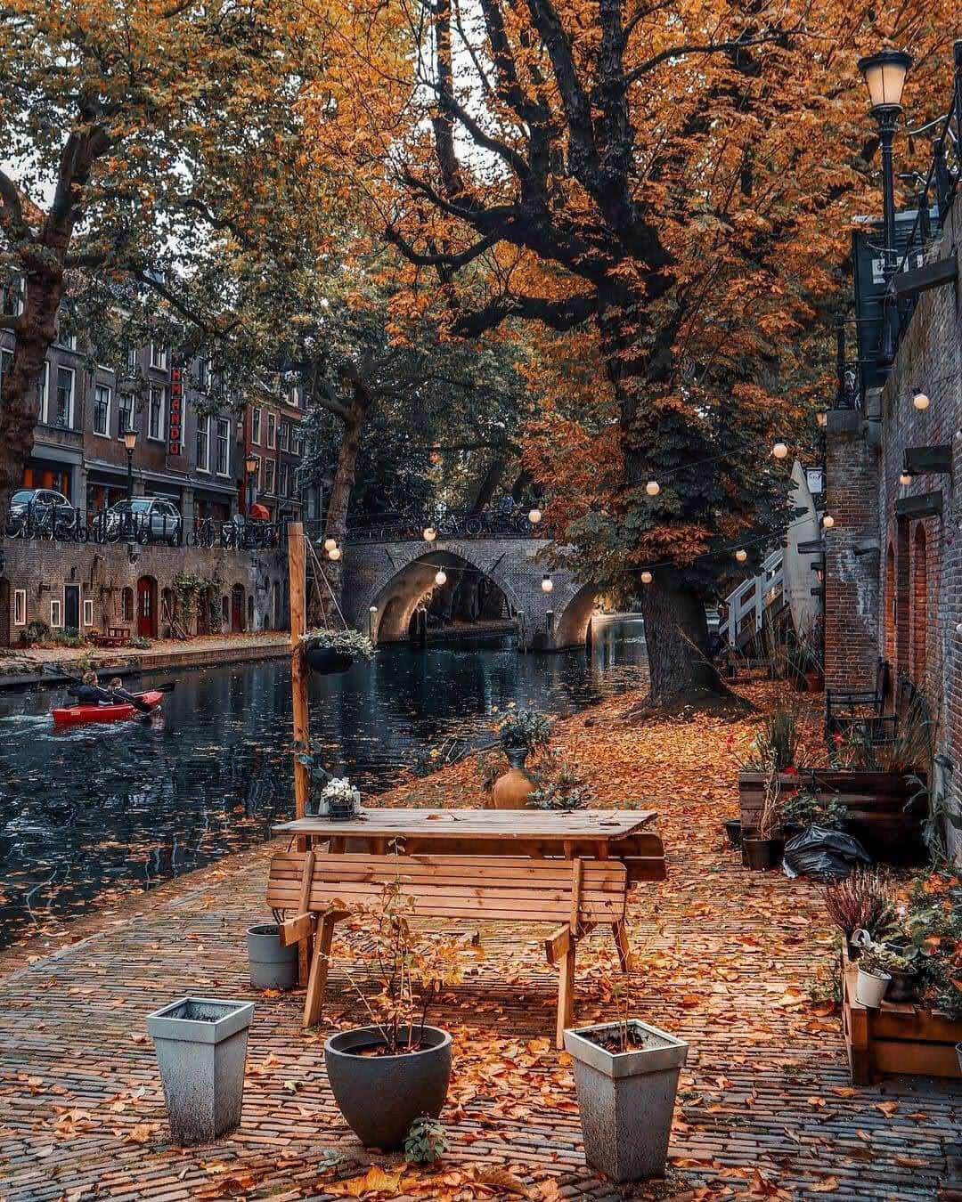 Autumn leaves by the canal in Utrecht 🍁