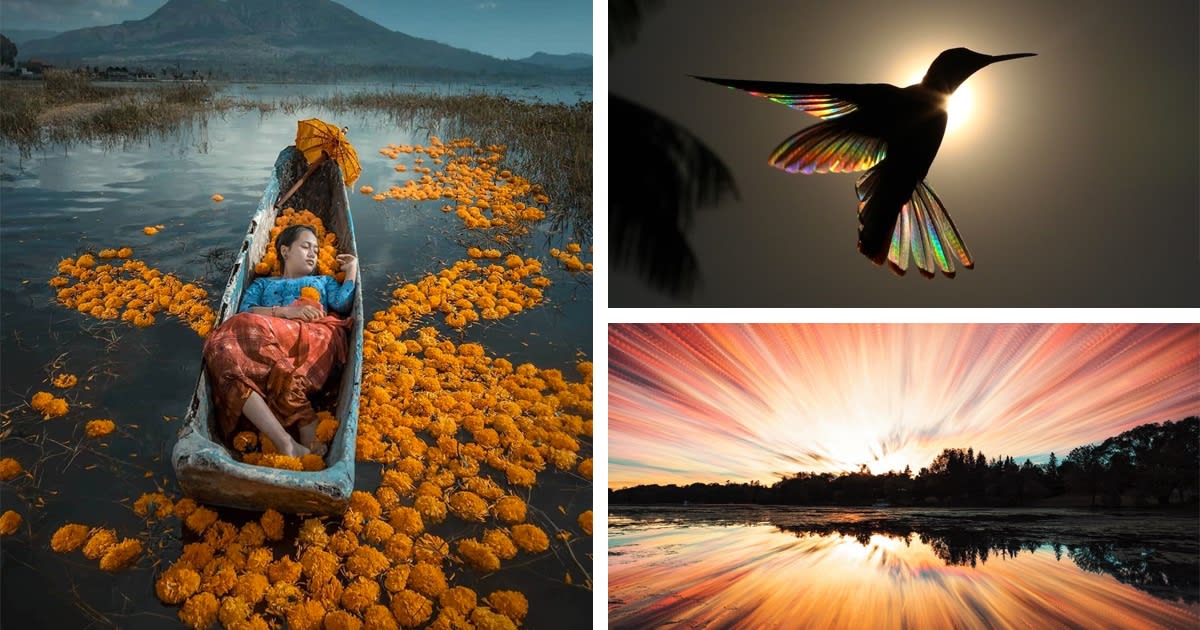 Best of 2019: Top 50 Photographs From Around the World