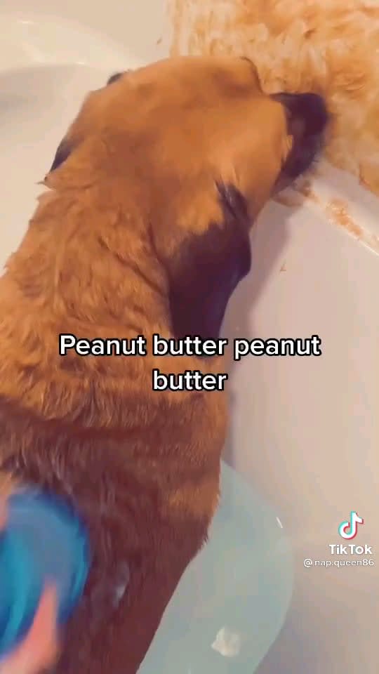 Peanut butter bamboozle