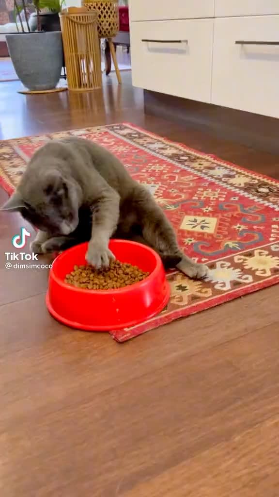 I’ve never seen anything like this before lmaoo