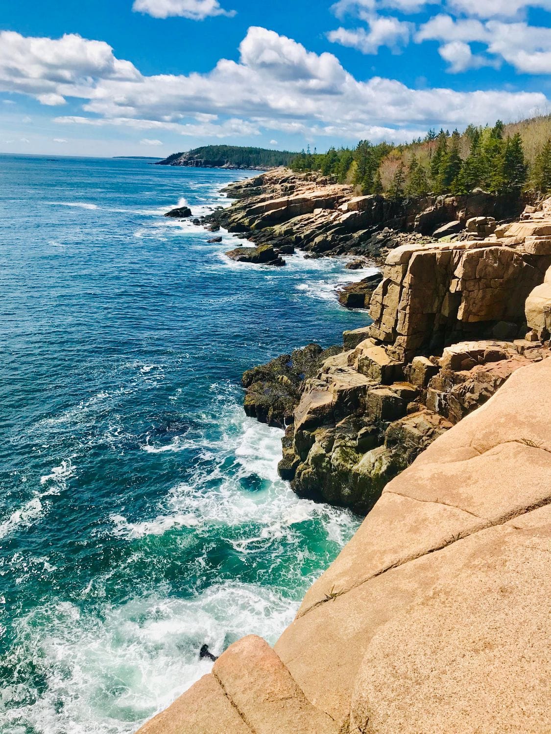 Acadia National Park, Ocean Path Trail, Maine, US (May 2019)
